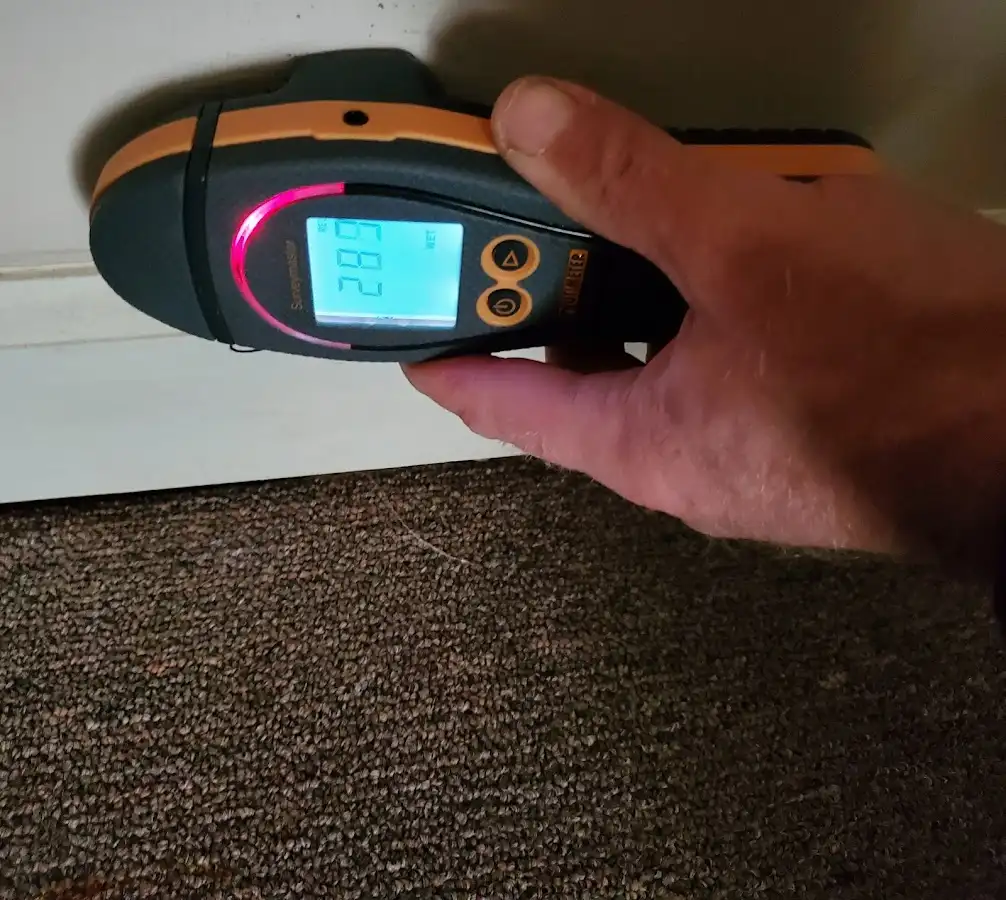 Moisture detection at baseboard during Burst Pipe Cleanup in Montclair